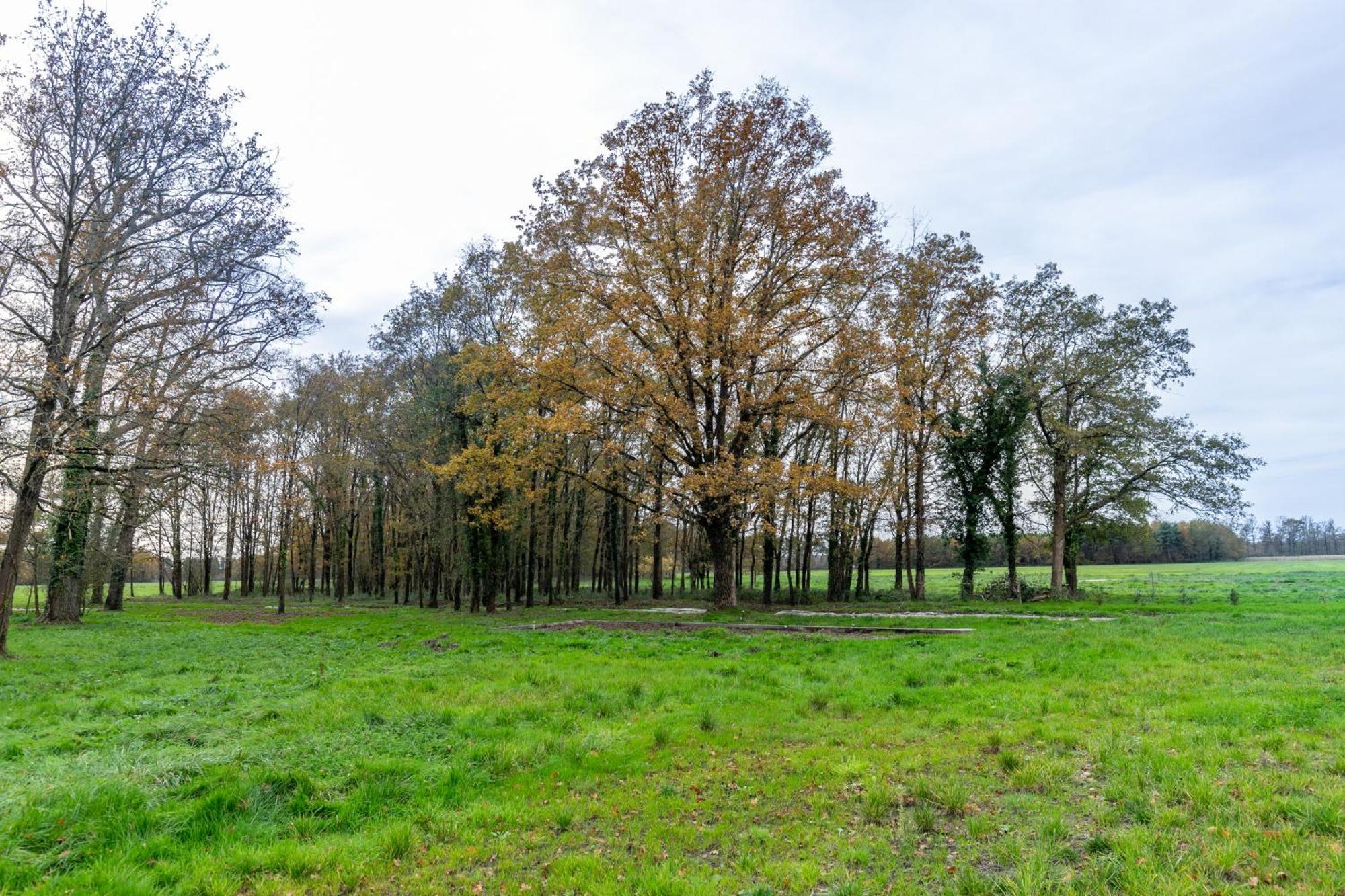 3 Ch, 2 Salle De Bain, 20 Min Beauval Et Chambord Holiday home Chemery